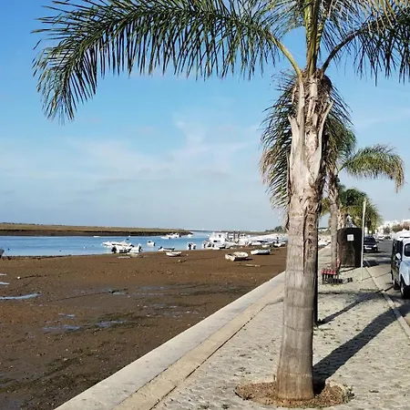 Casinha Secreta - A Gema Escondida Da Santa Luzia